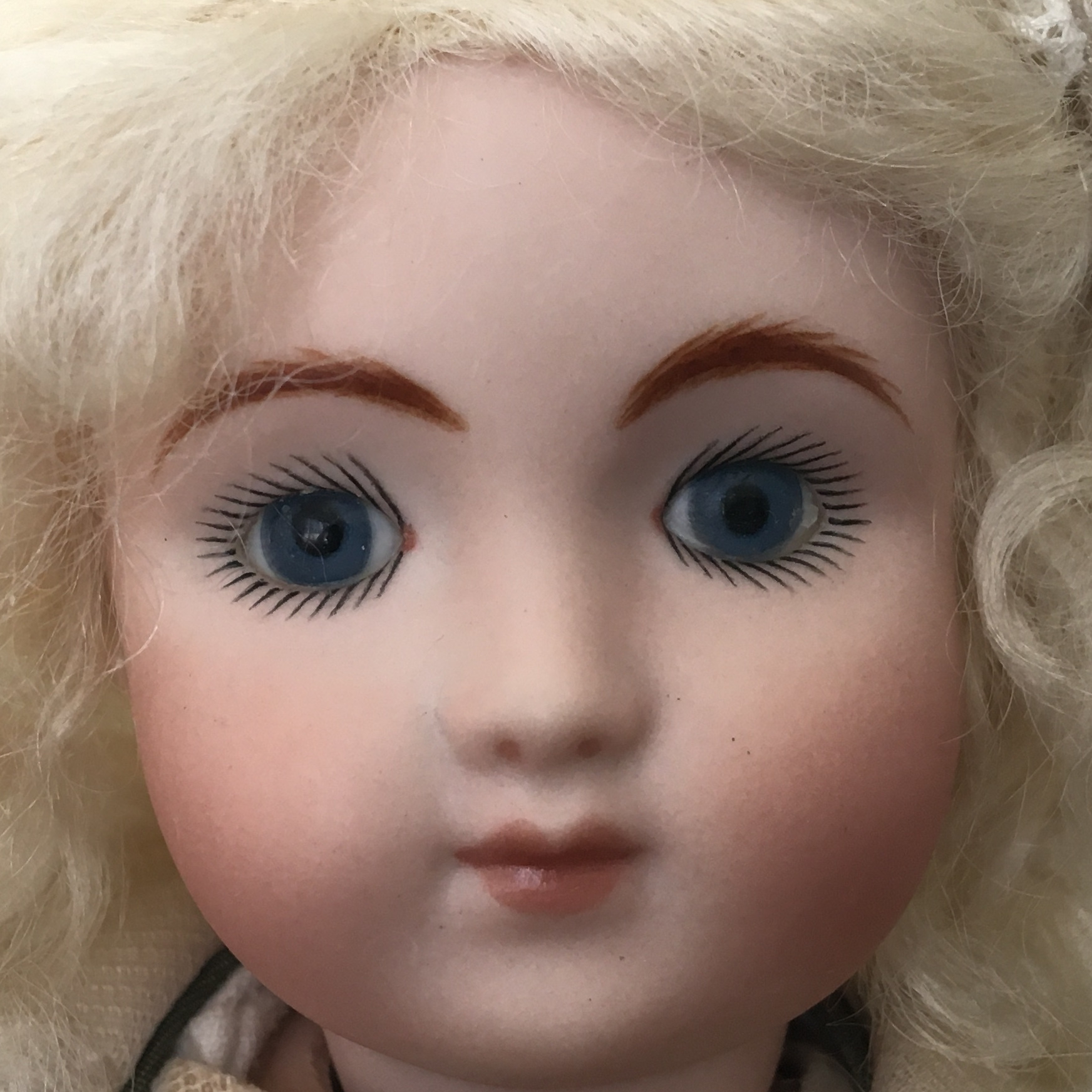 Tiny C Steiner Face